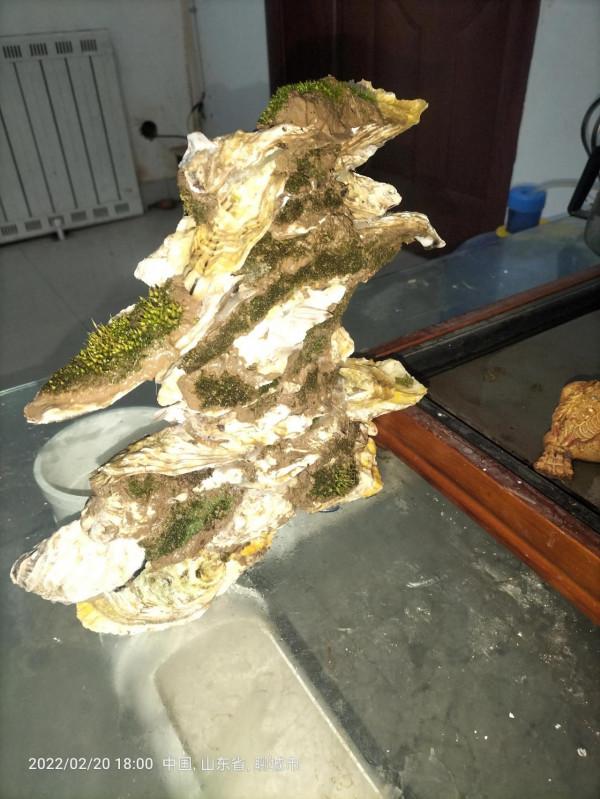自己的創造海蠣子殼製作假山