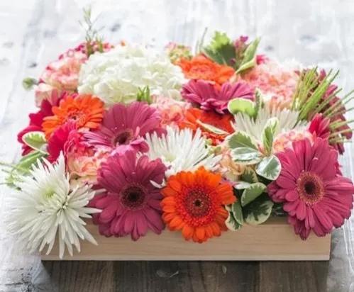 散文：今生所有的相遇，便是最好的團圓