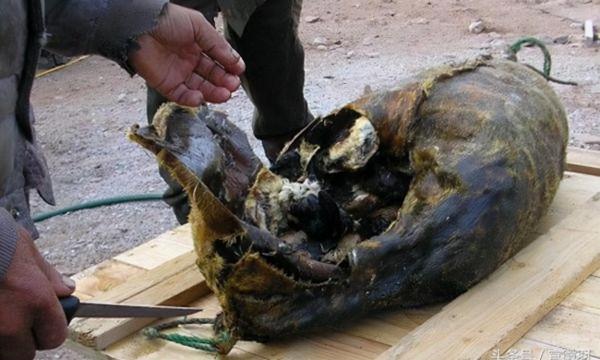 臭得慘絕人寰的鯡魚罐頭每年銷量高達360萬罐！何方壯士在消費？