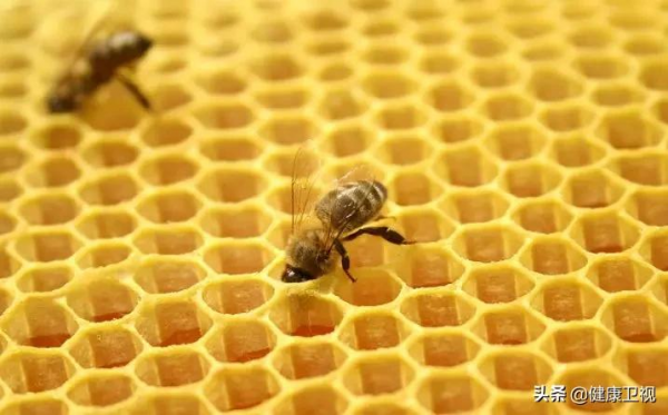 14種保健品被吹上天!《Health》影響力極大的刊物和專家告訴我們:沒什麼用 14種保健品被吹上天!《Health》影響力極大的刊物和專家告訴我們:沒什麼用