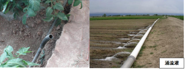 噴灌、滴灌、水平、湧流……哪種灌溉方式最節水？