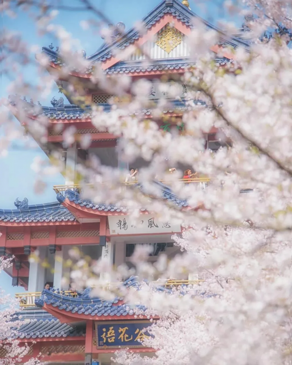 2022我要一個人去旅行