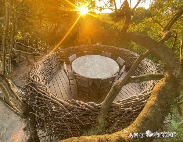 小時候最想住的“鳥窩”| Charlie Baker 來自大自然的雕塑建築 小時候最想住的“鳥窩”| Charlie Baker 來自大自然的雕塑建築