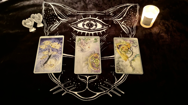 2022&period;01事業運勢：獅子座態度緊繃做改進，處女座成長趨緩改變少