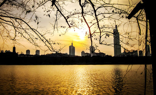 業績快報 | 南京高科去年實現合同銷售14.73億元 同比增加116.92%