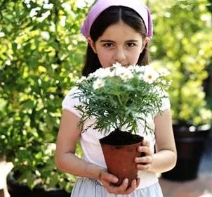 純乾貨 | 養花人必知的20條常識,收好了 純乾貨 | 養花人必知的20條常識,收好了