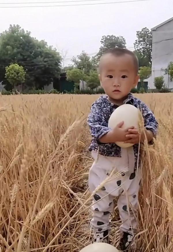 張藝謀打動14億觀眾、國漫崛起的背後是了不起的中國傳統文化