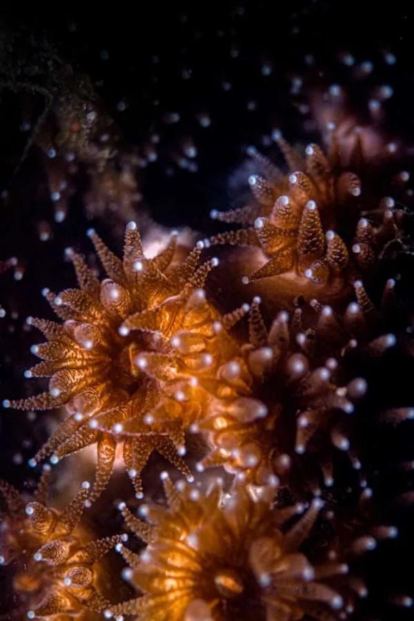 請欣賞美麗瞬間