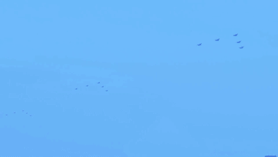 這,就是中國排面 這,就是中國排面