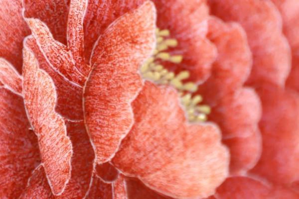 用微書竟然也能“畫”出驚世畫作，看到細節才知道他有多厲害