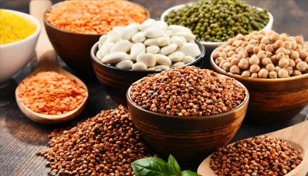 蔬菜水果等植物中，除了植物毒素，還有哪些好的營養素