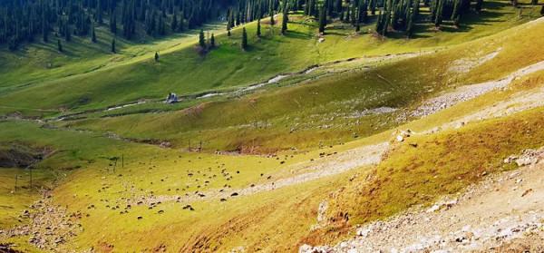 福州哈雷戴維森車主會（H.O.G）西域北疆行（9）