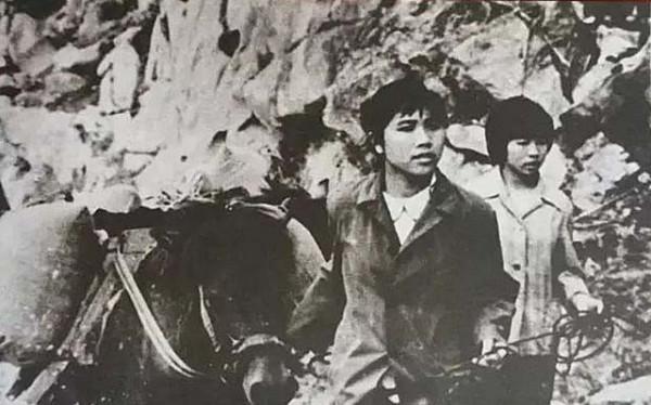 1984年,18歲女鄉長冒著越軍炮火,先後30多次帶民兵騾馬隊支前 1984年,18歲女鄉長冒著越軍炮火,先後30多次帶民兵騾馬隊支前