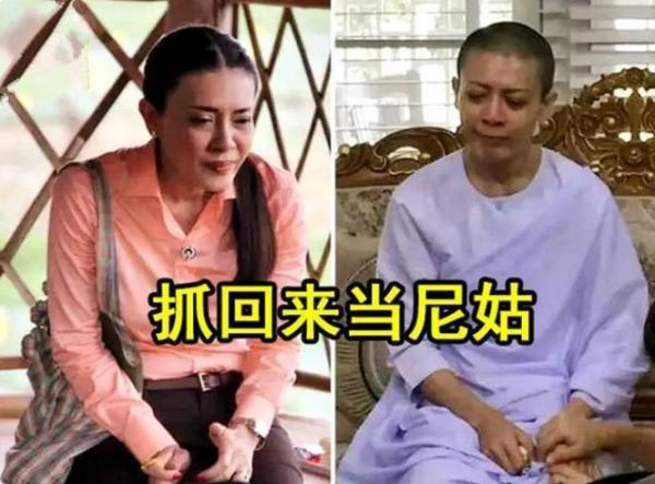 西拉米半生困苦浮出水面，鍛鍊提幫功獨立能力，繼位王儲接替王位