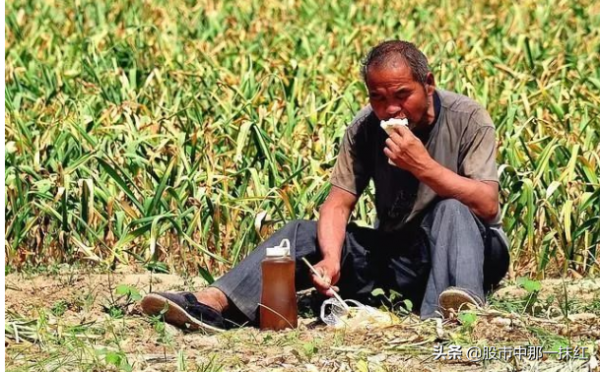 蔬菜價格肆無忌憚“漲翻天”,百姓望菜興嘆,直言吃不起 蔬菜價格肆無忌憚“漲翻天”,百姓望菜興嘆,直言吃不起