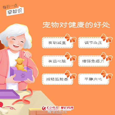 養寵物，你真的做好準備了嗎？