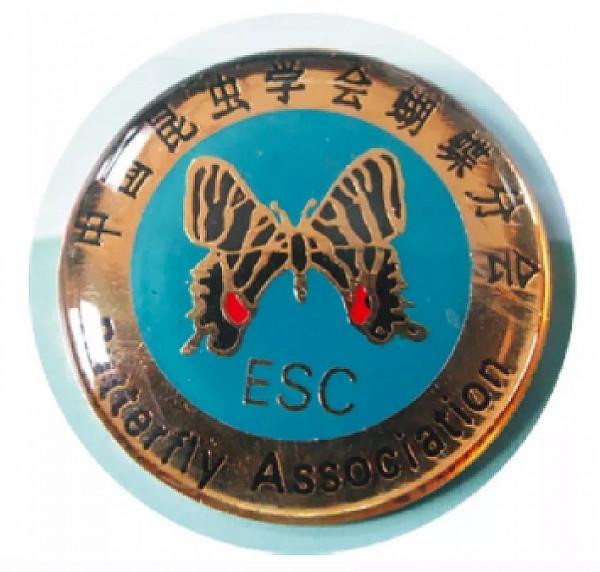 虎了吧唧的小&OpenCurlyDoubleQuote;虎子&rdquo;們