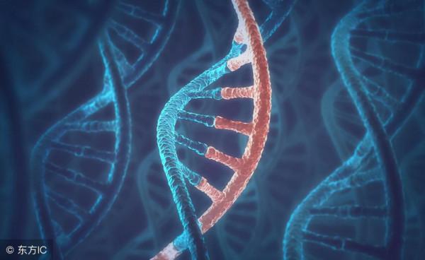 Arxiv新論文:深度強化學習設計 RNA Arxiv新論文:深度強化學習設計 RNA