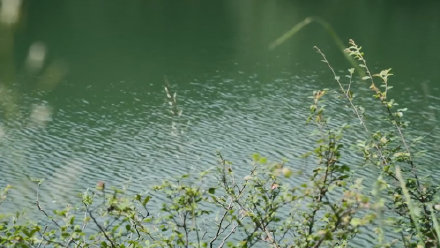 宛若世外桃源!這一湖碧水太治癒了 宛若世外桃源!這一湖碧水太治癒了
