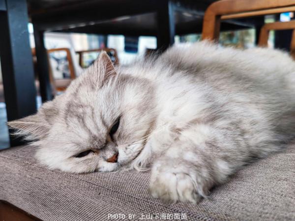 走進莫干山治癒系民宿,在禪意滿滿天真樂元靜心酒店遇見最真自己 走進莫干山治癒系民宿,在禪意滿滿天真樂元靜心酒店遇見最真自己