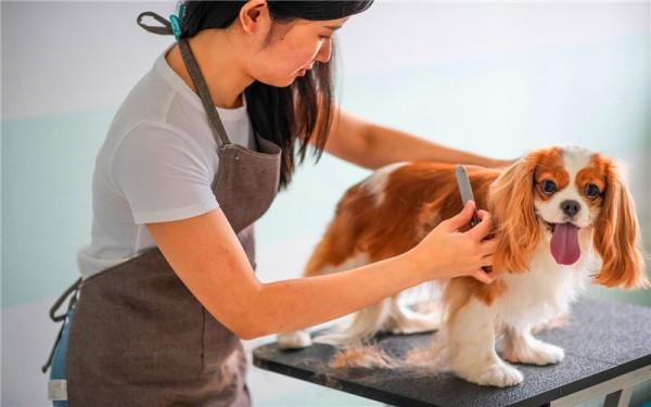 中年獨身女人，想自主創業，有哪些好的專案可以選擇？