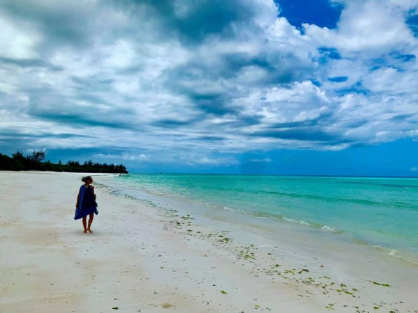 流亡英國57年,這位諾貝爾文學獎得主的祖國,如今還在鬧“獨立” 流亡英國57年,這位諾貝爾文學獎得主的祖國,如今還在鬧“獨立”