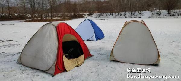 迴歸河山，收穫翻番