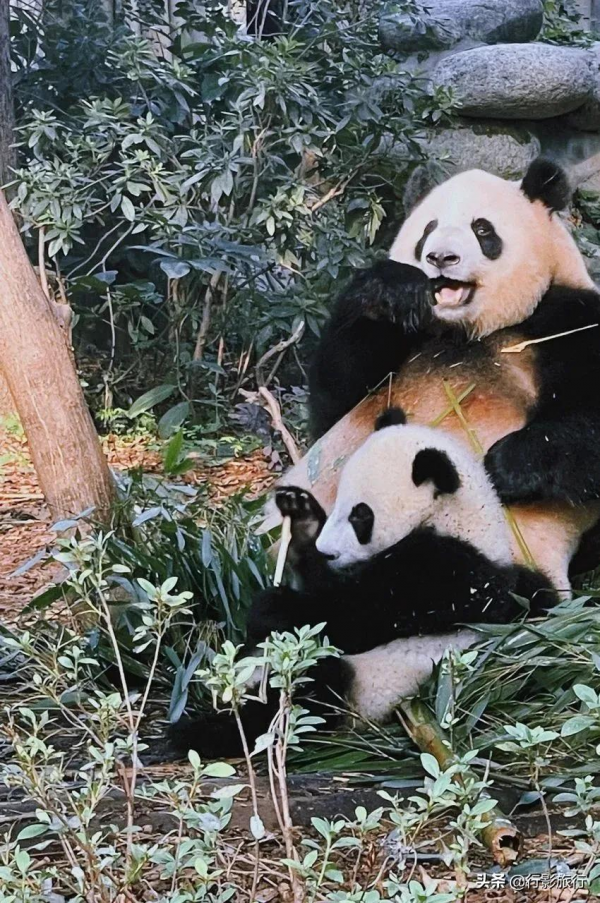 位居世界第一,中國這56個世界遺產絕了 位居世界第一,中國這56個世界遺產絕了