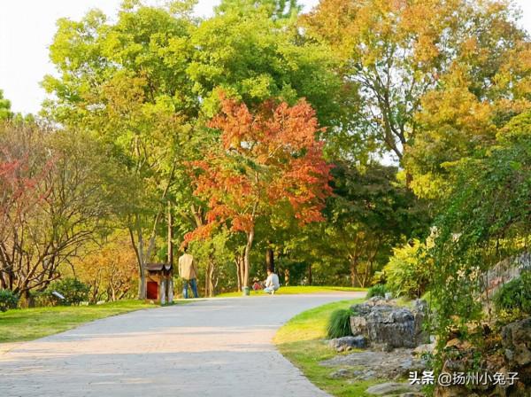 人閒桂花落，看花也要儀式感