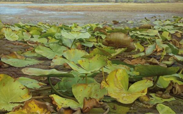 喬克·弗裡瑪的寫實作品欣賞