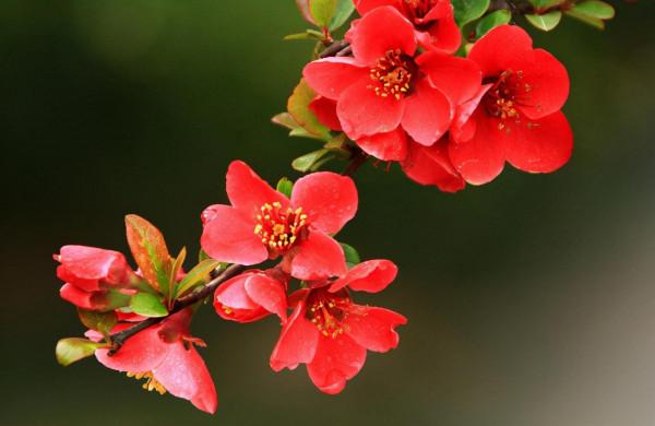 一個人最大的本領，是駕馭自己的心情