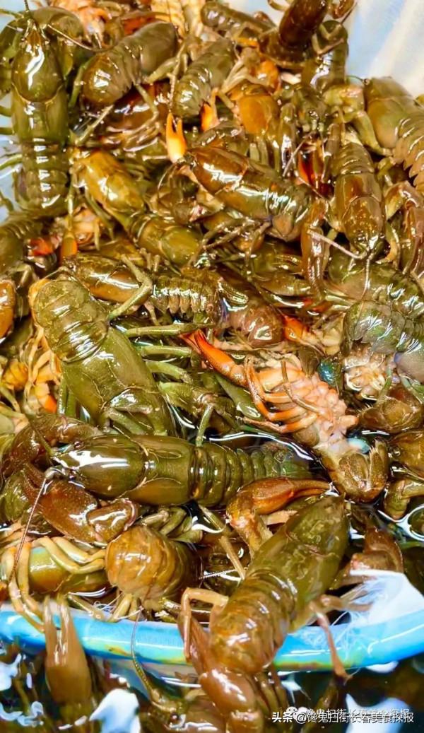 來自汪清百草溝。花泥鰍、川丁子,長白山小魚湯,已16年 來自汪清百草溝。花泥鰍、川丁子,長白山小魚湯,已16年