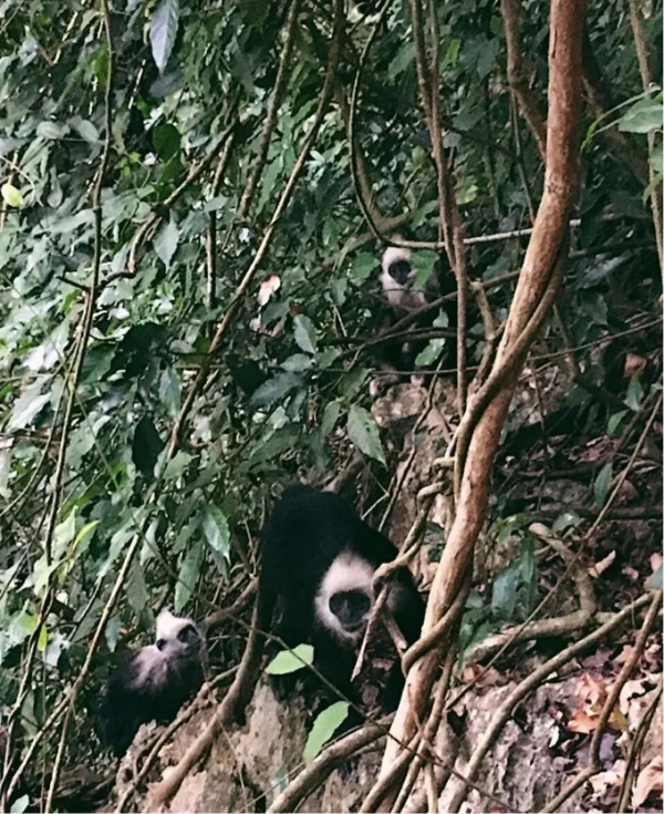 這個冬天,你應該去一趟廣西之崇左玉林靖西 這個冬天,你應該去一趟廣西之崇左玉林靖西