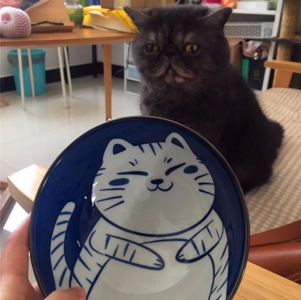 萬萬沒想到，我竟然被一套陶瓷餐具萌化了