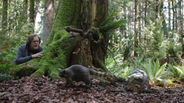 和平使者第7集，別惹和平使者的鷹，不然親爹都殺