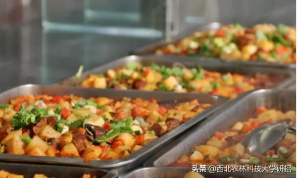 央視“點名”關注!陝西這所高校的全魚宴、巧克力饅頭饞哭網友 央視“點名”關注!陝西這所高校的全魚宴、巧克力饅頭饞哭網友