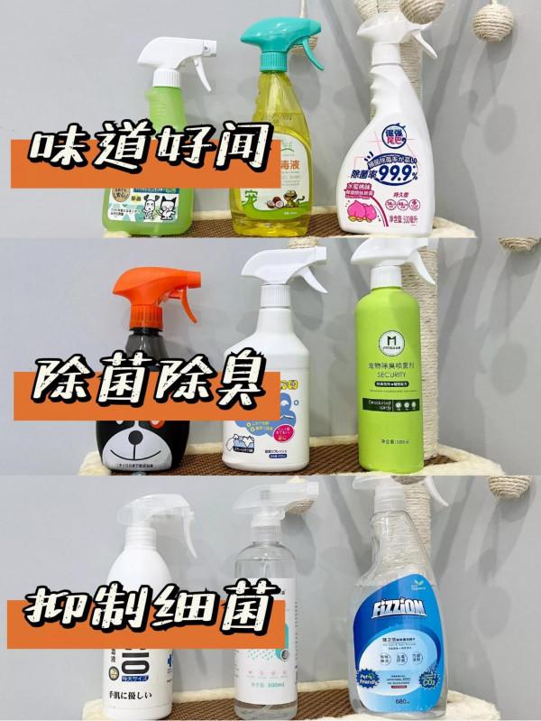 是誰說貓咪拉屎一定是臭的