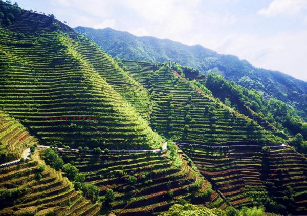 國慶出遊不扎堆！送您“徽州天路”自駕遊攻略，驚險刺激人少景美