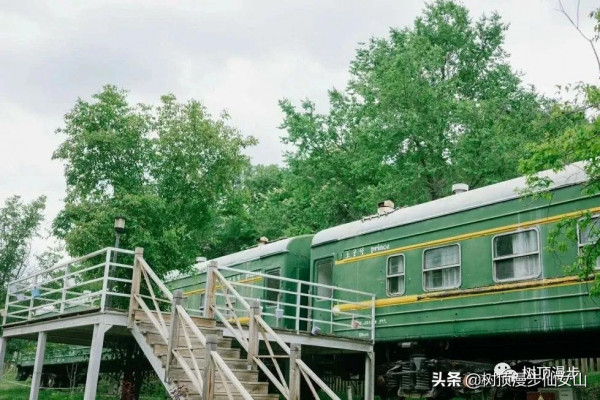 樹頂漫步黃龍住宿360°觀