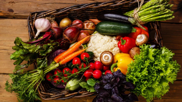 冬日進補不一定要吃肉！吃好6種時令蔬菜，孩子更健康