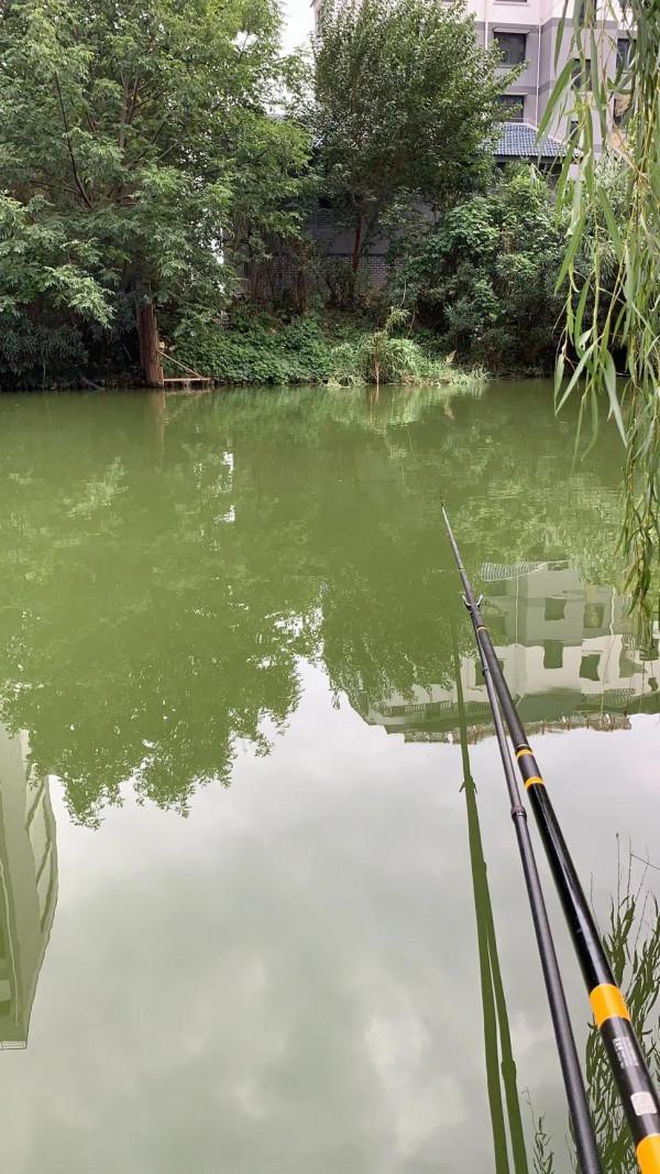 抓住釣大魚的最後時機，成功守得野生大青