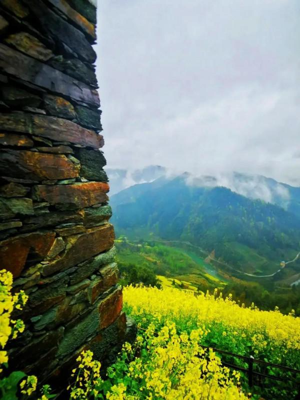 又是一年好時光