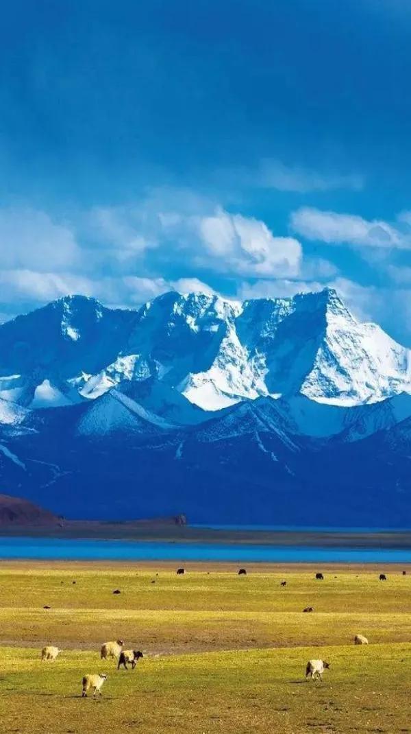 分享圖片：唐古拉山