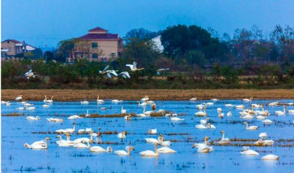 國內旅遊那些出名的打卡地