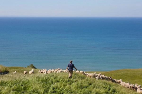 這30個好物正在影響著你的生活方式|2021“理想的生活”好物榜 這30個好物正在影響著你的生活方式|2021“理想的生活”好物榜