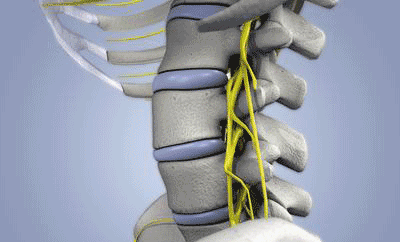 這是一封醫生寫給腰椎病患者的長信，如果您深受其擾，請看此文