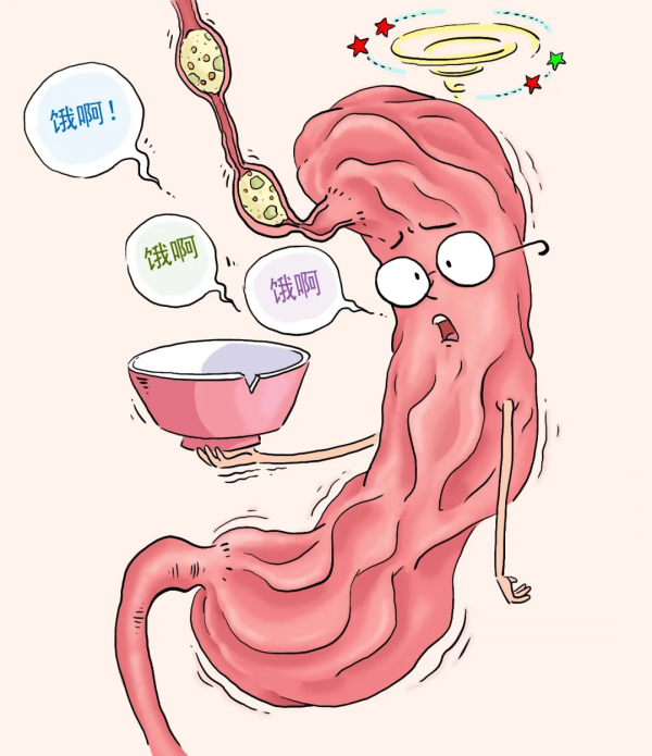 「漫繪科普」一顆胃的“包容心”到底有多大？