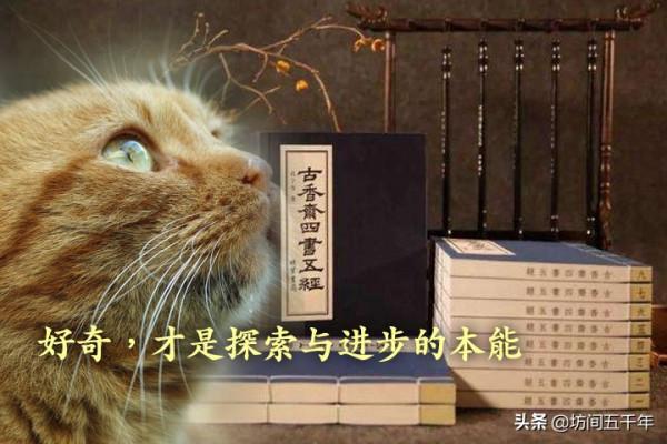 “對過去好奇”的人類行為彙總與“創歷史”謬論