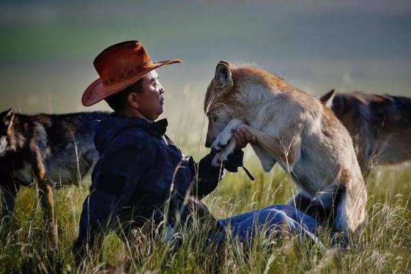 2017年,牧民收養斷腿孤狼,花1萬元安假肢,還誇它是最忠誠夥伴 2017年,牧民收養斷腿孤狼,花1萬元安假肢,還誇它是最忠誠夥伴
