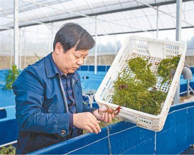 “帶著大夥兒一起富”